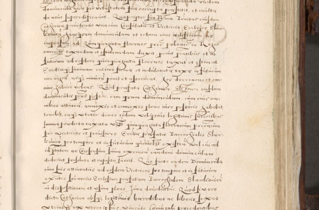 Zdjęcie nr 206 dla obiektu archiwalnego: Acta actorum, constitutionum, obligationum, resignationum, quietationum tempore R. D. Petr Myszkowski, episcopi Cracoviensis, qui post mortem R. D. Francisci Krasiński, episcopi Cracoviensis solius Dei optimi maximi benignitate, Serenissimi Stephani regis Poloniase favore et clementia ex Plocensi ad Cracoviensem auctoritate Ssmi Gregorii XIII successit ab anno 1577 mense Novembri ad annum 1591 mensem Aprilem successive acticatorum.