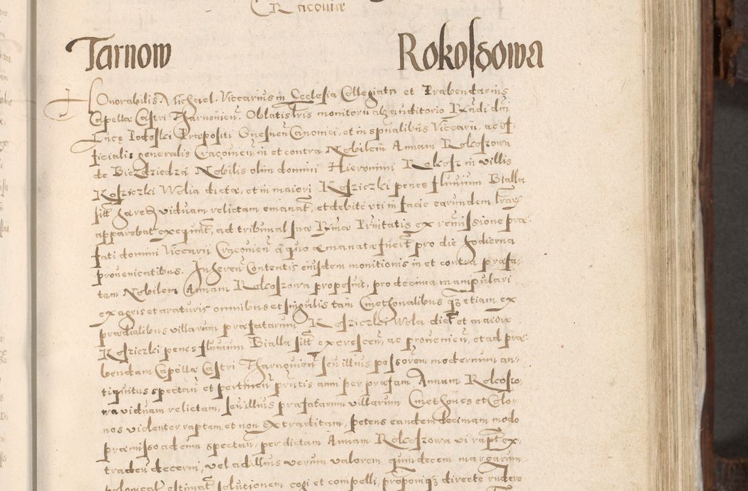 Zdjęcie nr 176 dla obiektu archiwalnego: Acta actorum, constitutionum, obligationum, resignationum, quietationum tempore R. D. Petr Myszkowski, episcopi Cracoviensis, qui post mortem R. D. Francisci Krasiński, episcopi Cracoviensis solius Dei optimi maximi benignitate, Serenissimi Stephani regis Poloniase favore et clementia ex Plocensi ad Cracoviensem auctoritate Ssmi Gregorii XIII successit ab anno 1577 mense Novembri ad annum 1591 mensem Aprilem successive acticatorum.