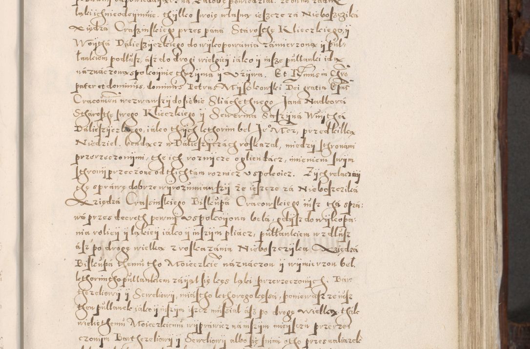 Zdjęcie nr 146 dla obiektu archiwalnego: Acta actorum, constitutionum, obligationum, resignationum, quietationum tempore R. D. Petr Myszkowski, episcopi Cracoviensis, qui post mortem R. D. Francisci Krasiński, episcopi Cracoviensis solius Dei optimi maximi benignitate, Serenissimi Stephani regis Poloniase favore et clementia ex Plocensi ad Cracoviensem auctoritate Ssmi Gregorii XIII successit ab anno 1577 mense Novembri ad annum 1591 mensem Aprilem successive acticatorum.