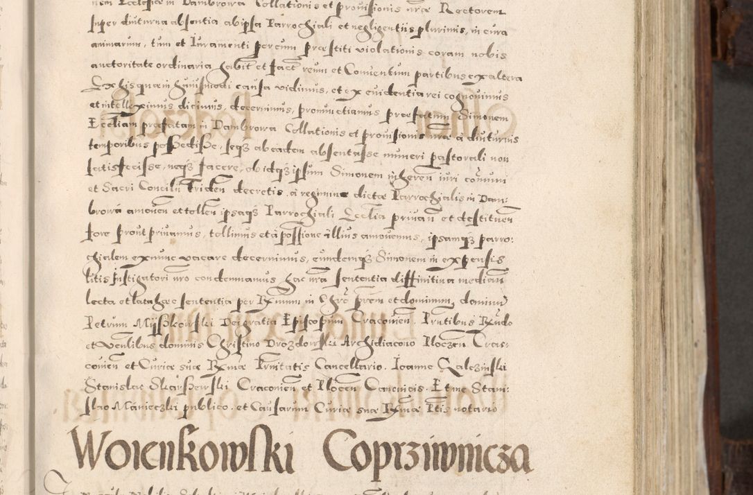 Zdjęcie nr 106 dla obiektu archiwalnego: Acta actorum, constitutionum, obligationum, resignationum, quietationum tempore R. D. Petr Myszkowski, episcopi Cracoviensis, qui post mortem R. D. Francisci Krasiński, episcopi Cracoviensis solius Dei optimi maximi benignitate, Serenissimi Stephani regis Poloniase favore et clementia ex Plocensi ad Cracoviensem auctoritate Ssmi Gregorii XIII successit ab anno 1577 mense Novembri ad annum 1591 mensem Aprilem successive acticatorum.