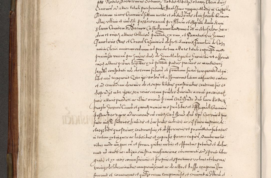 Zdjęcie nr 387 dla obiektu archiwalnego: Acta actorum, constitutionum, obligationum, resignationum, quietationum tempore R. D. Petr Myszkowski, episcopi Cracoviensis, qui post mortem R. D. Francisci Krasiński, episcopi Cracoviensis solius Dei optimi maximi benignitate, Serenissimi Stephani regis Poloniase favore et clementia ex Plocensi ad Cracoviensem auctoritate Ssmi Gregorii XIII successit ab anno 1577 mense Novembri ad annum 1591 mensem Aprilem successive acticatorum.