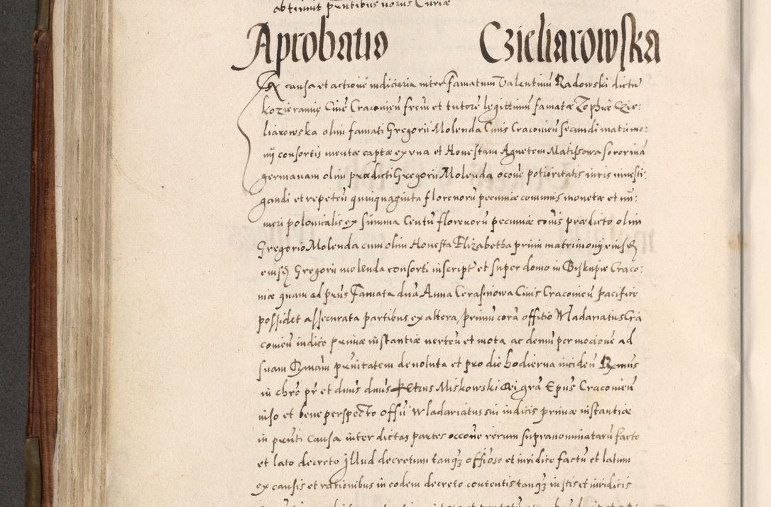 Zdjęcie nr 375 dla obiektu archiwalnego: Acta actorum, constitutionum, obligationum, resignationum, quietationum tempore R. D. Petr Myszkowski, episcopi Cracoviensis, qui post mortem R. D. Francisci Krasiński, episcopi Cracoviensis solius Dei optimi maximi benignitate, Serenissimi Stephani regis Poloniase favore et clementia ex Plocensi ad Cracoviensem auctoritate Ssmi Gregorii XIII successit ab anno 1577 mense Novembri ad annum 1591 mensem Aprilem successive acticatorum.