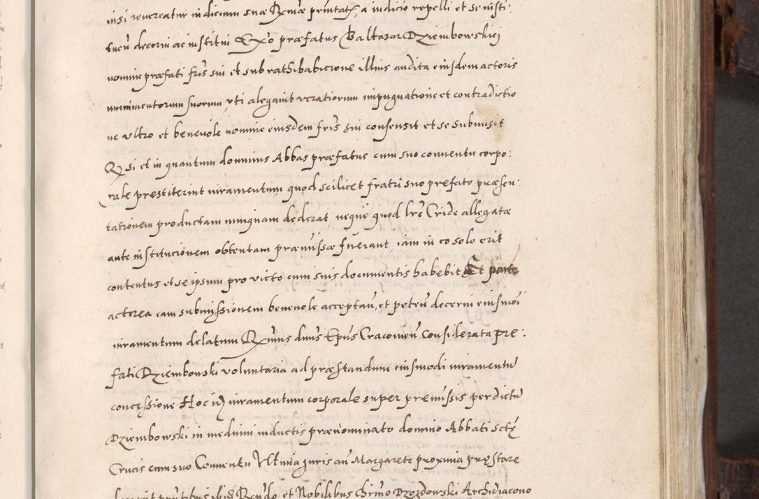 Zdjęcie nr 318 dla obiektu archiwalnego: Acta actorum, constitutionum, obligationum, resignationum, quietationum tempore R. D. Petr Myszkowski, episcopi Cracoviensis, qui post mortem R. D. Francisci Krasiński, episcopi Cracoviensis solius Dei optimi maximi benignitate, Serenissimi Stephani regis Poloniase favore et clementia ex Plocensi ad Cracoviensem auctoritate Ssmi Gregorii XIII successit ab anno 1577 mense Novembri ad annum 1591 mensem Aprilem successive acticatorum.