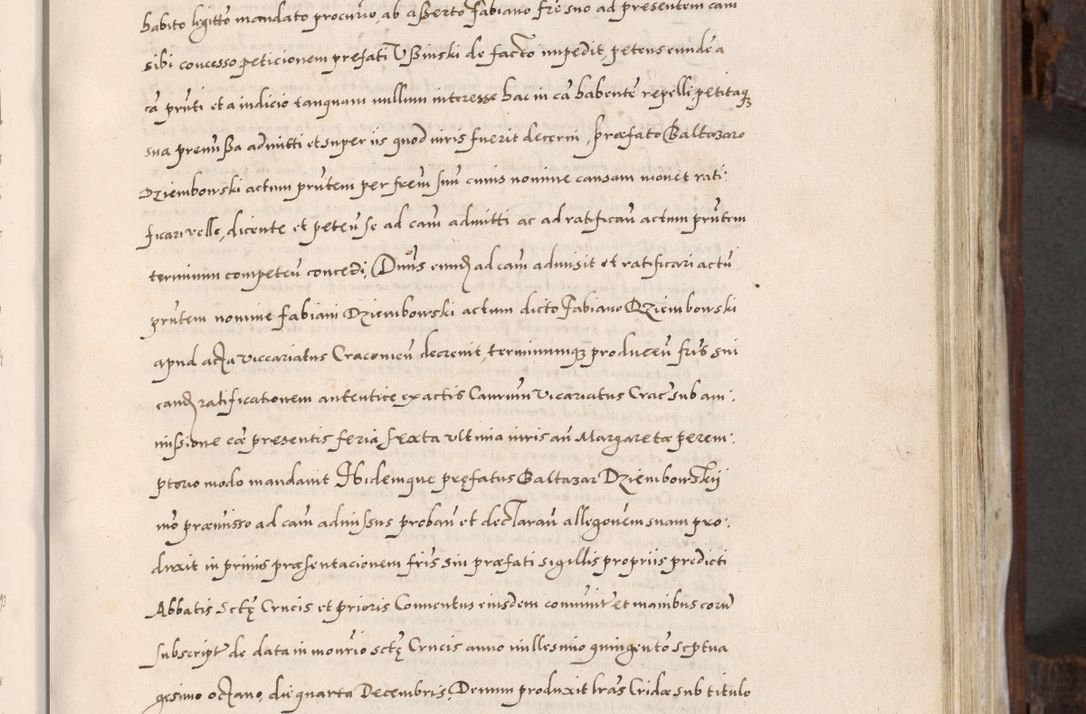 Zdjęcie nr 316 dla obiektu archiwalnego: Acta actorum, constitutionum, obligationum, resignationum, quietationum tempore R. D. Petr Myszkowski, episcopi Cracoviensis, qui post mortem R. D. Francisci Krasiński, episcopi Cracoviensis solius Dei optimi maximi benignitate, Serenissimi Stephani regis Poloniase favore et clementia ex Plocensi ad Cracoviensem auctoritate Ssmi Gregorii XIII successit ab anno 1577 mense Novembri ad annum 1591 mensem Aprilem successive acticatorum.