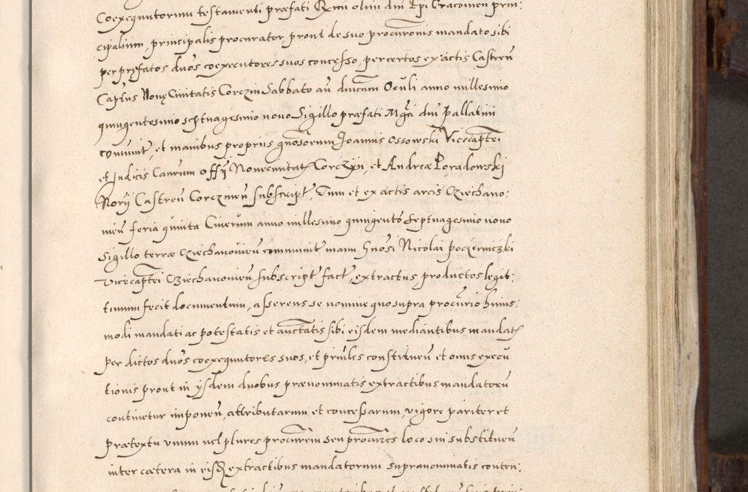 Zdjęcie nr 300 dla obiektu archiwalnego: Acta actorum, constitutionum, obligationum, resignationum, quietationum tempore R. D. Petr Myszkowski, episcopi Cracoviensis, qui post mortem R. D. Francisci Krasiński, episcopi Cracoviensis solius Dei optimi maximi benignitate, Serenissimi Stephani regis Poloniase favore et clementia ex Plocensi ad Cracoviensem auctoritate Ssmi Gregorii XIII successit ab anno 1577 mense Novembri ad annum 1591 mensem Aprilem successive acticatorum.