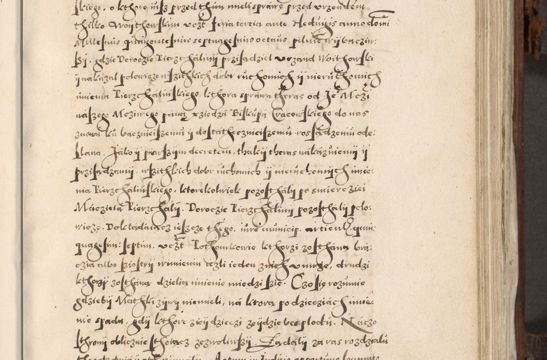 Zdjęcie nr 260 dla obiektu archiwalnego: Acta actorum, constitutionum, obligationum, resignationum, quietationum tempore R. D. Petr Myszkowski, episcopi Cracoviensis, qui post mortem R. D. Francisci Krasiński, episcopi Cracoviensis solius Dei optimi maximi benignitate, Serenissimi Stephani regis Poloniase favore et clementia ex Plocensi ad Cracoviensem auctoritate Ssmi Gregorii XIII successit ab anno 1577 mense Novembri ad annum 1591 mensem Aprilem successive acticatorum.
