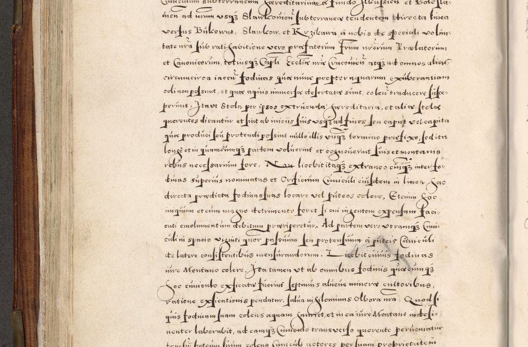 Zdjęcie nr 219 dla obiektu archiwalnego: Acta actorum, constitutionum, obligationum, resignationum, quietationum tempore R. D. Petr Myszkowski, episcopi Cracoviensis, qui post mortem R. D. Francisci Krasiński, episcopi Cracoviensis solius Dei optimi maximi benignitate, Serenissimi Stephani regis Poloniase favore et clementia ex Plocensi ad Cracoviensem auctoritate Ssmi Gregorii XIII successit ab anno 1577 mense Novembri ad annum 1591 mensem Aprilem successive acticatorum.