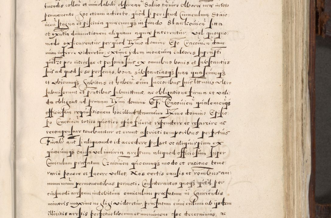 Zdjęcie nr 220 dla obiektu archiwalnego: Acta actorum, constitutionum, obligationum, resignationum, quietationum tempore R. D. Petr Myszkowski, episcopi Cracoviensis, qui post mortem R. D. Francisci Krasiński, episcopi Cracoviensis solius Dei optimi maximi benignitate, Serenissimi Stephani regis Poloniase favore et clementia ex Plocensi ad Cracoviensem auctoritate Ssmi Gregorii XIII successit ab anno 1577 mense Novembri ad annum 1591 mensem Aprilem successive acticatorum.