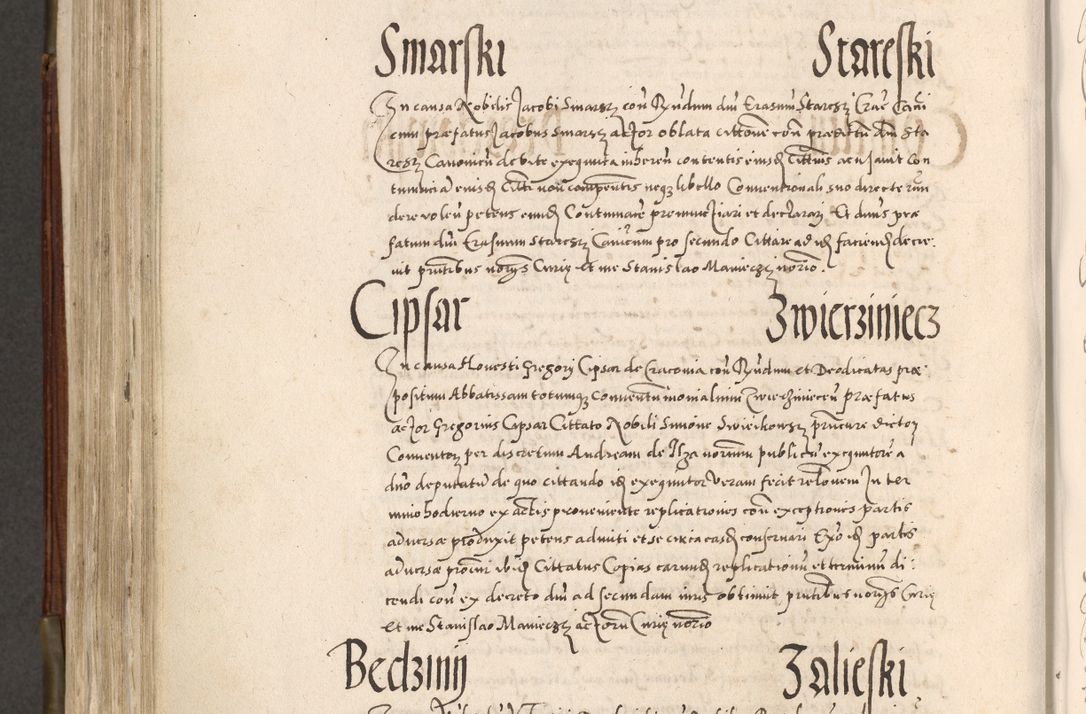 Zdjęcie nr 585 dla obiektu archiwalnego: Acta actorum, constitutionum, obligationum, resignationum, quietationum tempore R. D. Petr Myszkowski, episcopi Cracoviensis, qui post mortem R. D. Francisci Krasiński, episcopi Cracoviensis solius Dei optimi maximi benignitate, Serenissimi Stephani regis Poloniase favore et clementia ex Plocensi ad Cracoviensem auctoritate Ssmi Gregorii XIII successit ab anno 1577 mense Novembri ad annum 1591 mensem Aprilem successive acticatorum.