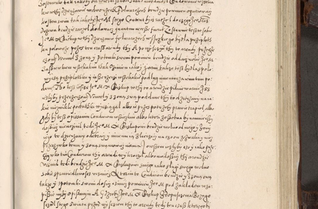 Zdjęcie nr 580 dla obiektu archiwalnego: Acta actorum, constitutionum, obligationum, resignationum, quietationum tempore R. D. Petr Myszkowski, episcopi Cracoviensis, qui post mortem R. D. Francisci Krasiński, episcopi Cracoviensis solius Dei optimi maximi benignitate, Serenissimi Stephani regis Poloniase favore et clementia ex Plocensi ad Cracoviensem auctoritate Ssmi Gregorii XIII successit ab anno 1577 mense Novembri ad annum 1591 mensem Aprilem successive acticatorum.