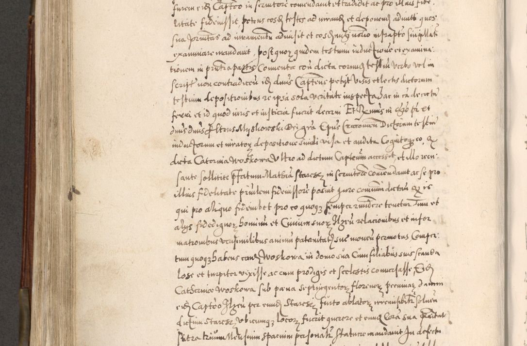 Zdjęcie nr 529 dla obiektu archiwalnego: Acta actorum, constitutionum, obligationum, resignationum, quietationum tempore R. D. Petr Myszkowski, episcopi Cracoviensis, qui post mortem R. D. Francisci Krasiński, episcopi Cracoviensis solius Dei optimi maximi benignitate, Serenissimi Stephani regis Poloniase favore et clementia ex Plocensi ad Cracoviensem auctoritate Ssmi Gregorii XIII successit ab anno 1577 mense Novembri ad annum 1591 mensem Aprilem successive acticatorum.