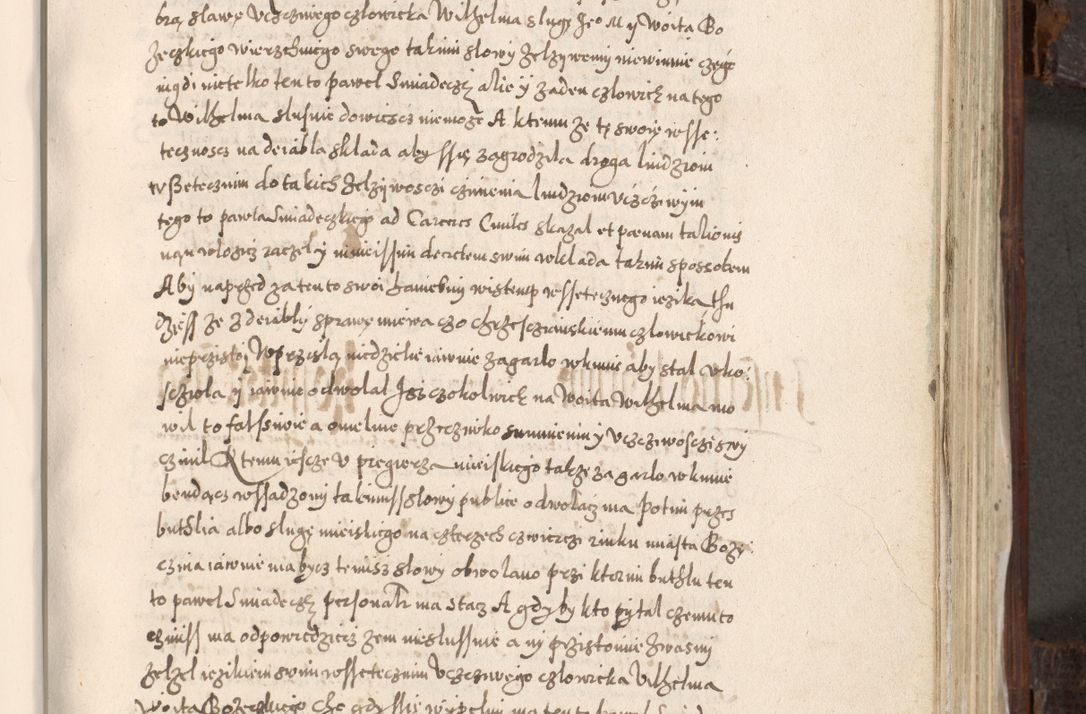 Zdjęcie nr 516 dla obiektu archiwalnego: Acta actorum, constitutionum, obligationum, resignationum, quietationum tempore R. D. Petr Myszkowski, episcopi Cracoviensis, qui post mortem R. D. Francisci Krasiński, episcopi Cracoviensis solius Dei optimi maximi benignitate, Serenissimi Stephani regis Poloniase favore et clementia ex Plocensi ad Cracoviensem auctoritate Ssmi Gregorii XIII successit ab anno 1577 mense Novembri ad annum 1591 mensem Aprilem successive acticatorum.