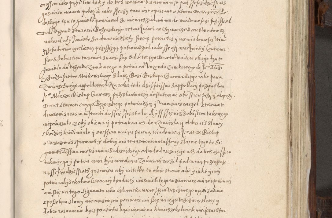 Zdjęcie nr 504 dla obiektu archiwalnego: Acta actorum, constitutionum, obligationum, resignationum, quietationum tempore R. D. Petr Myszkowski, episcopi Cracoviensis, qui post mortem R. D. Francisci Krasiński, episcopi Cracoviensis solius Dei optimi maximi benignitate, Serenissimi Stephani regis Poloniase favore et clementia ex Plocensi ad Cracoviensem auctoritate Ssmi Gregorii XIII successit ab anno 1577 mense Novembri ad annum 1591 mensem Aprilem successive acticatorum.