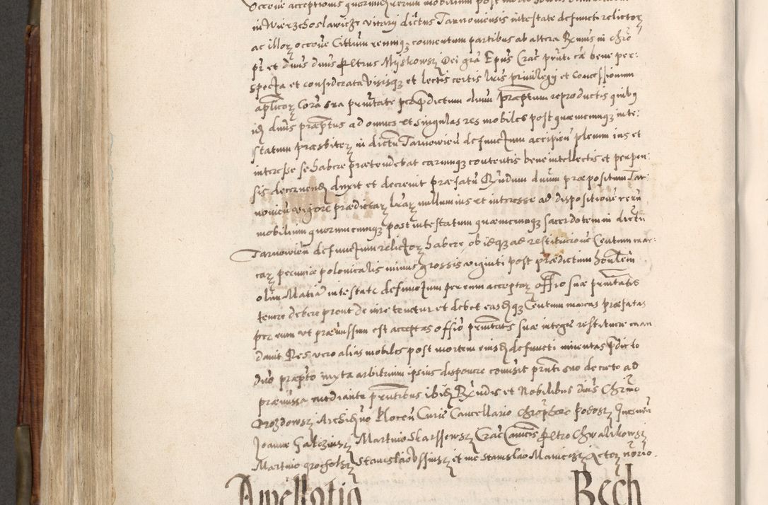 Zdjęcie nr 501 dla obiektu archiwalnego: Acta actorum, constitutionum, obligationum, resignationum, quietationum tempore R. D. Petr Myszkowski, episcopi Cracoviensis, qui post mortem R. D. Francisci Krasiński, episcopi Cracoviensis solius Dei optimi maximi benignitate, Serenissimi Stephani regis Poloniase favore et clementia ex Plocensi ad Cracoviensem auctoritate Ssmi Gregorii XIII successit ab anno 1577 mense Novembri ad annum 1591 mensem Aprilem successive acticatorum.