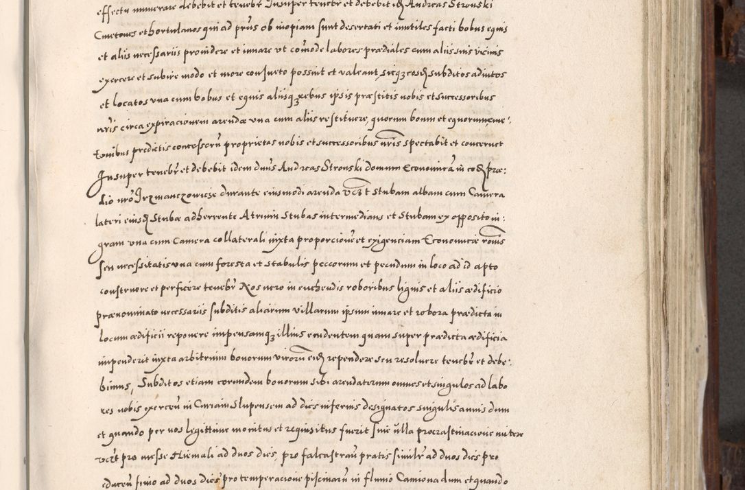 Zdjęcie nr 448 dla obiektu archiwalnego: Acta actorum, constitutionum, obligationum, resignationum, quietationum tempore R. D. Petr Myszkowski, episcopi Cracoviensis, qui post mortem R. D. Francisci Krasiński, episcopi Cracoviensis solius Dei optimi maximi benignitate, Serenissimi Stephani regis Poloniase favore et clementia ex Plocensi ad Cracoviensem auctoritate Ssmi Gregorii XIII successit ab anno 1577 mense Novembri ad annum 1591 mensem Aprilem successive acticatorum.