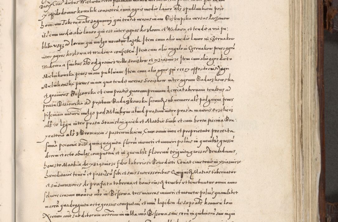 Zdjęcie nr 410 dla obiektu archiwalnego: Acta actorum, constitutionum, obligationum, resignationum, quietationum tempore R. D. Petr Myszkowski, episcopi Cracoviensis, qui post mortem R. D. Francisci Krasiński, episcopi Cracoviensis solius Dei optimi maximi benignitate, Serenissimi Stephani regis Poloniase favore et clementia ex Plocensi ad Cracoviensem auctoritate Ssmi Gregorii XIII successit ab anno 1577 mense Novembri ad annum 1591 mensem Aprilem successive acticatorum.