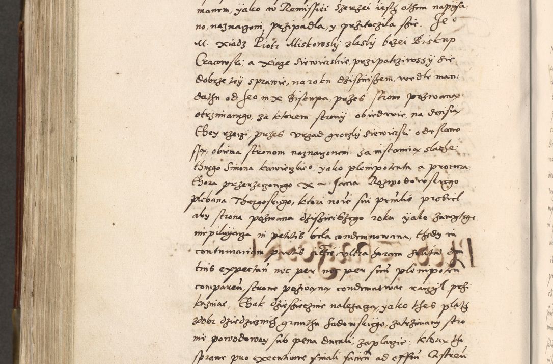 Zdjęcie nr 737 dla obiektu archiwalnego: Acta actorum, constitutionum, obligationum, resignationum, quietationum tempore R. D. Petr Myszkowski, episcopi Cracoviensis, qui post mortem R. D. Francisci Krasiński, episcopi Cracoviensis solius Dei optimi maximi benignitate, Serenissimi Stephani regis Poloniase favore et clementia ex Plocensi ad Cracoviensem auctoritate Ssmi Gregorii XIII successit ab anno 1577 mense Novembri ad annum 1591 mensem Aprilem successive acticatorum.