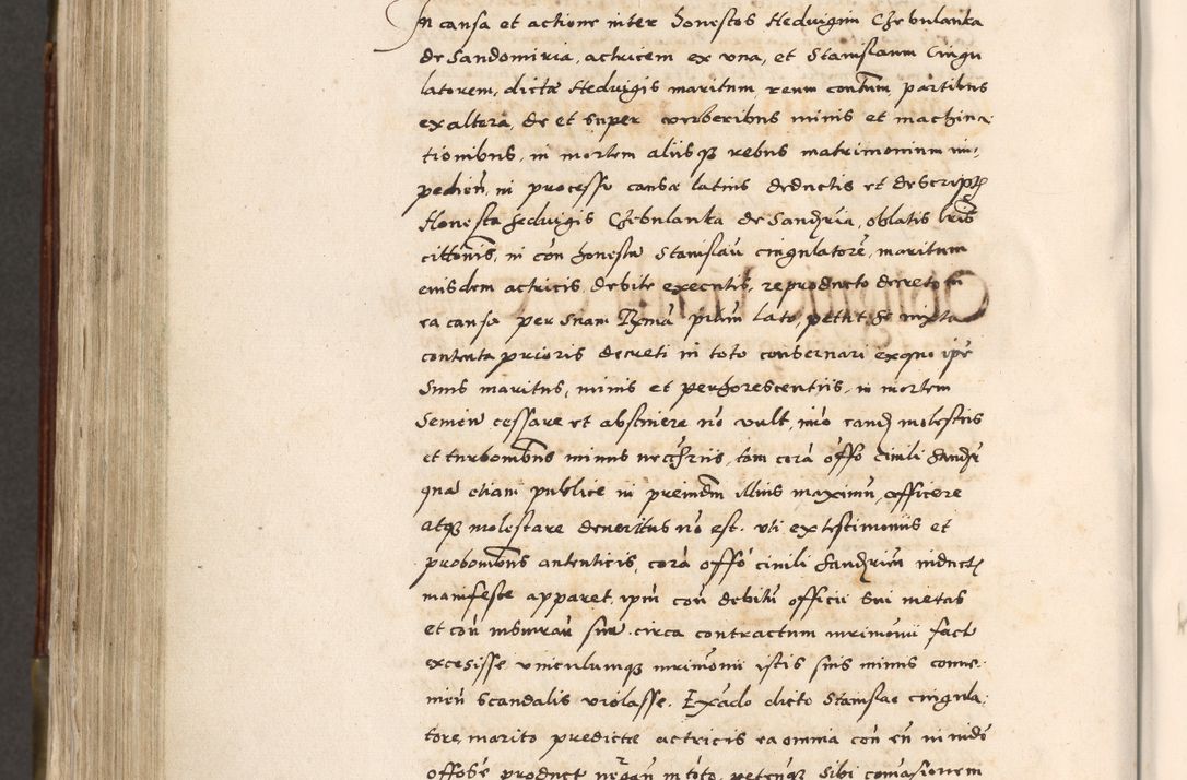 Zdjęcie nr 723 dla obiektu archiwalnego: Acta actorum, constitutionum, obligationum, resignationum, quietationum tempore R. D. Petr Myszkowski, episcopi Cracoviensis, qui post mortem R. D. Francisci Krasiński, episcopi Cracoviensis solius Dei optimi maximi benignitate, Serenissimi Stephani regis Poloniase favore et clementia ex Plocensi ad Cracoviensem auctoritate Ssmi Gregorii XIII successit ab anno 1577 mense Novembri ad annum 1591 mensem Aprilem successive acticatorum.