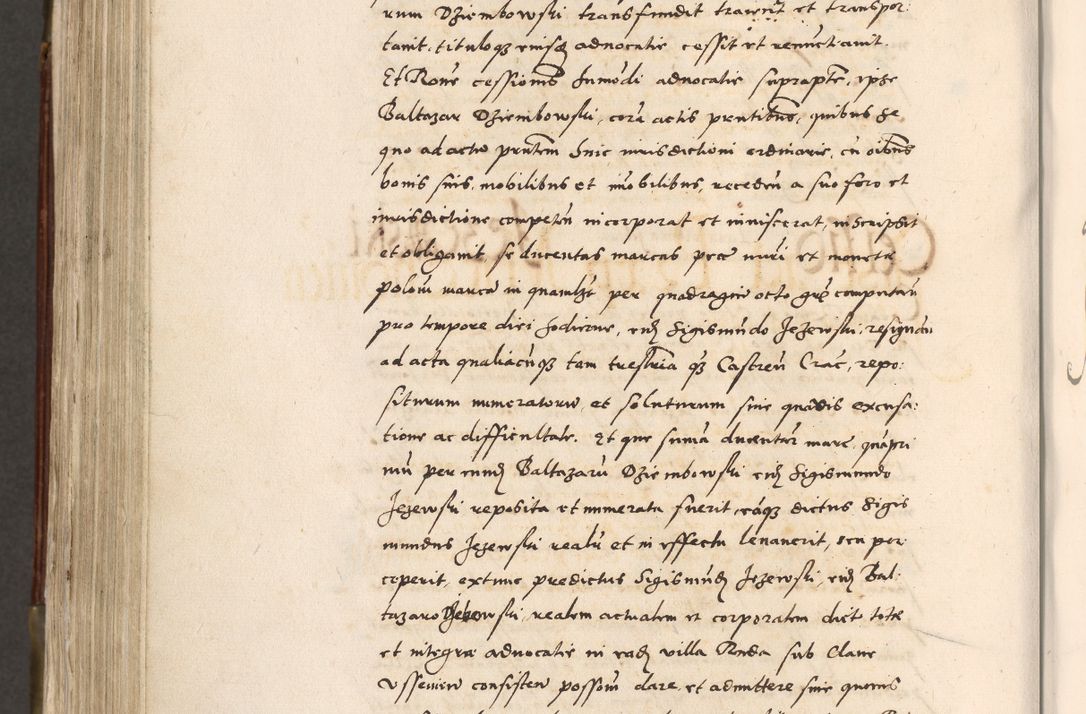 Zdjęcie nr 719 dla obiektu archiwalnego: Acta actorum, constitutionum, obligationum, resignationum, quietationum tempore R. D. Petr Myszkowski, episcopi Cracoviensis, qui post mortem R. D. Francisci Krasiński, episcopi Cracoviensis solius Dei optimi maximi benignitate, Serenissimi Stephani regis Poloniase favore et clementia ex Plocensi ad Cracoviensem auctoritate Ssmi Gregorii XIII successit ab anno 1577 mense Novembri ad annum 1591 mensem Aprilem successive acticatorum.
