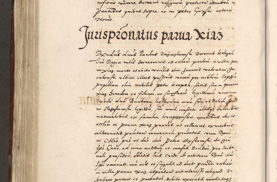 Zdjęcie nr 711 dla obiektu archiwalnego: Acta actorum, constitutionum, obligationum, resignationum, quietationum tempore R. D. Petr Myszkowski, episcopi Cracoviensis, qui post mortem R. D. Francisci Krasiński, episcopi Cracoviensis solius Dei optimi maximi benignitate, Serenissimi Stephani regis Poloniase favore et clementia ex Plocensi ad Cracoviensem auctoritate Ssmi Gregorii XIII successit ab anno 1577 mense Novembri ad annum 1591 mensem Aprilem successive acticatorum.