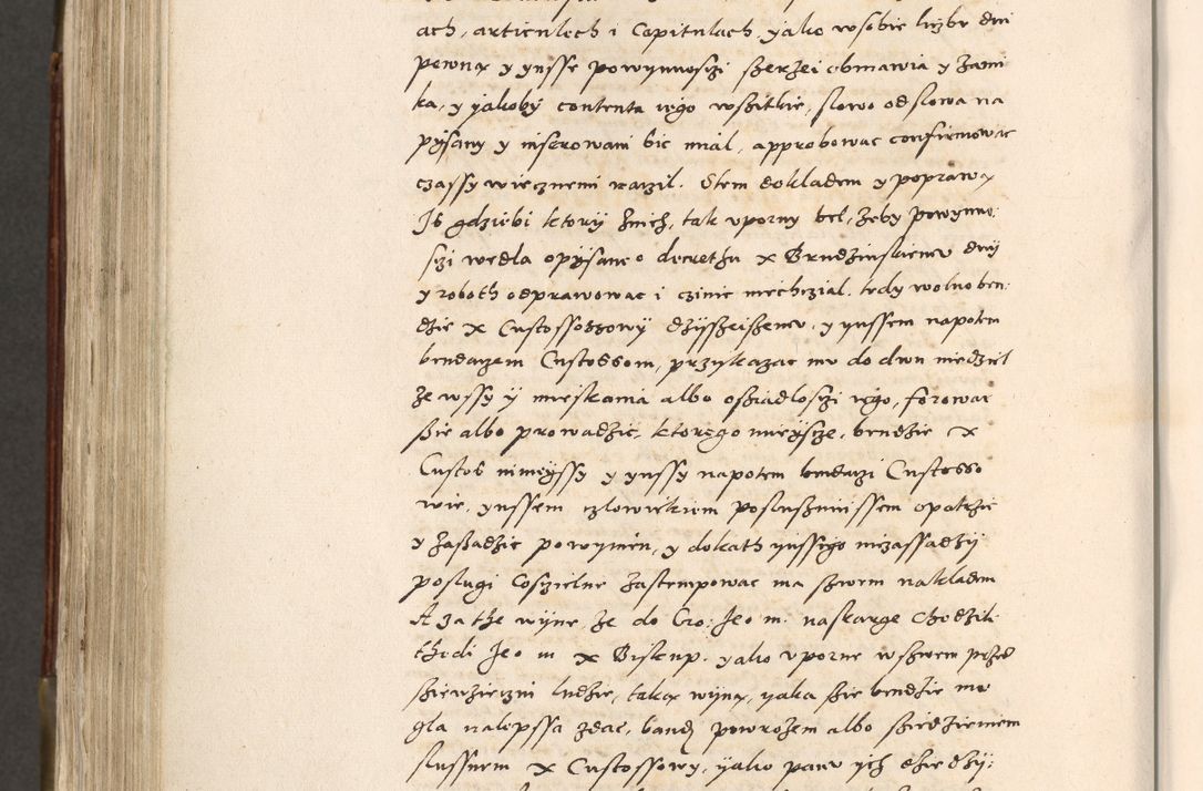 Zdjęcie nr 705 dla obiektu archiwalnego: Acta actorum, constitutionum, obligationum, resignationum, quietationum tempore R. D. Petr Myszkowski, episcopi Cracoviensis, qui post mortem R. D. Francisci Krasiński, episcopi Cracoviensis solius Dei optimi maximi benignitate, Serenissimi Stephani regis Poloniase favore et clementia ex Plocensi ad Cracoviensem auctoritate Ssmi Gregorii XIII successit ab anno 1577 mense Novembri ad annum 1591 mensem Aprilem successive acticatorum.