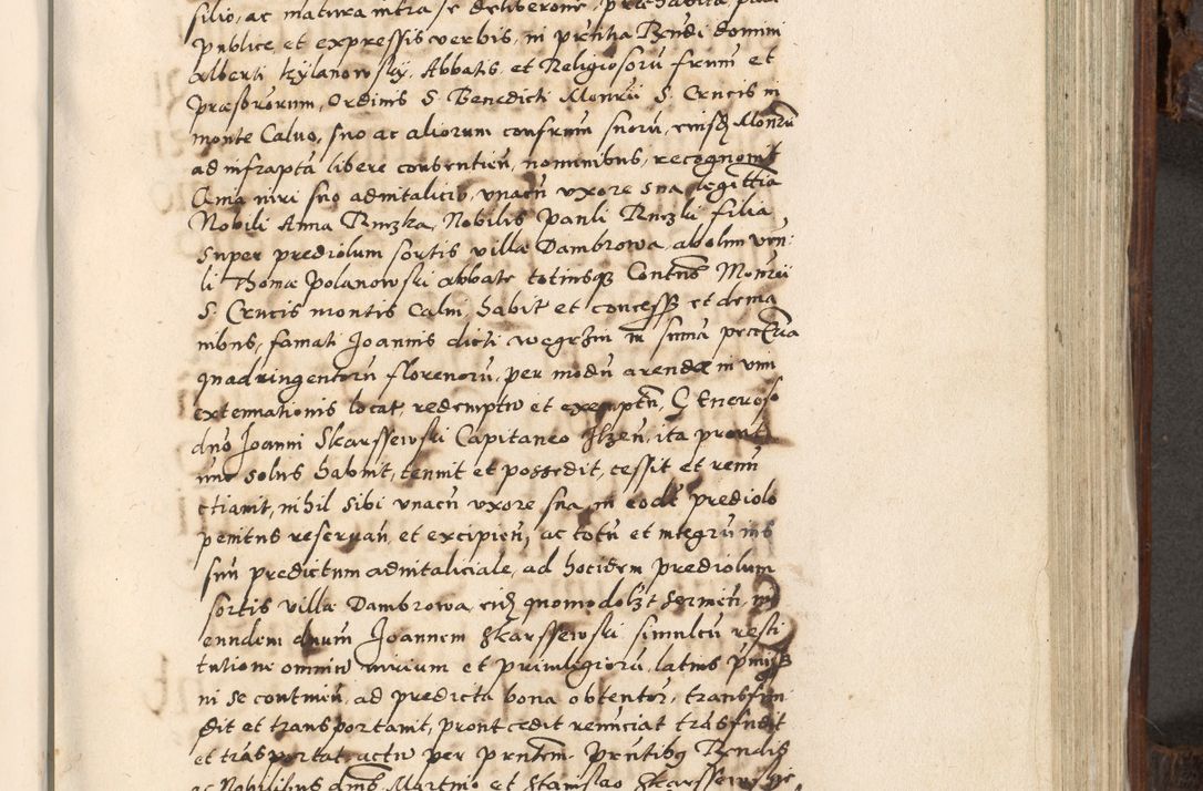 Zdjęcie nr 686 dla obiektu archiwalnego: Acta actorum, constitutionum, obligationum, resignationum, quietationum tempore R. D. Petr Myszkowski, episcopi Cracoviensis, qui post mortem R. D. Francisci Krasiński, episcopi Cracoviensis solius Dei optimi maximi benignitate, Serenissimi Stephani regis Poloniase favore et clementia ex Plocensi ad Cracoviensem auctoritate Ssmi Gregorii XIII successit ab anno 1577 mense Novembri ad annum 1591 mensem Aprilem successive acticatorum.