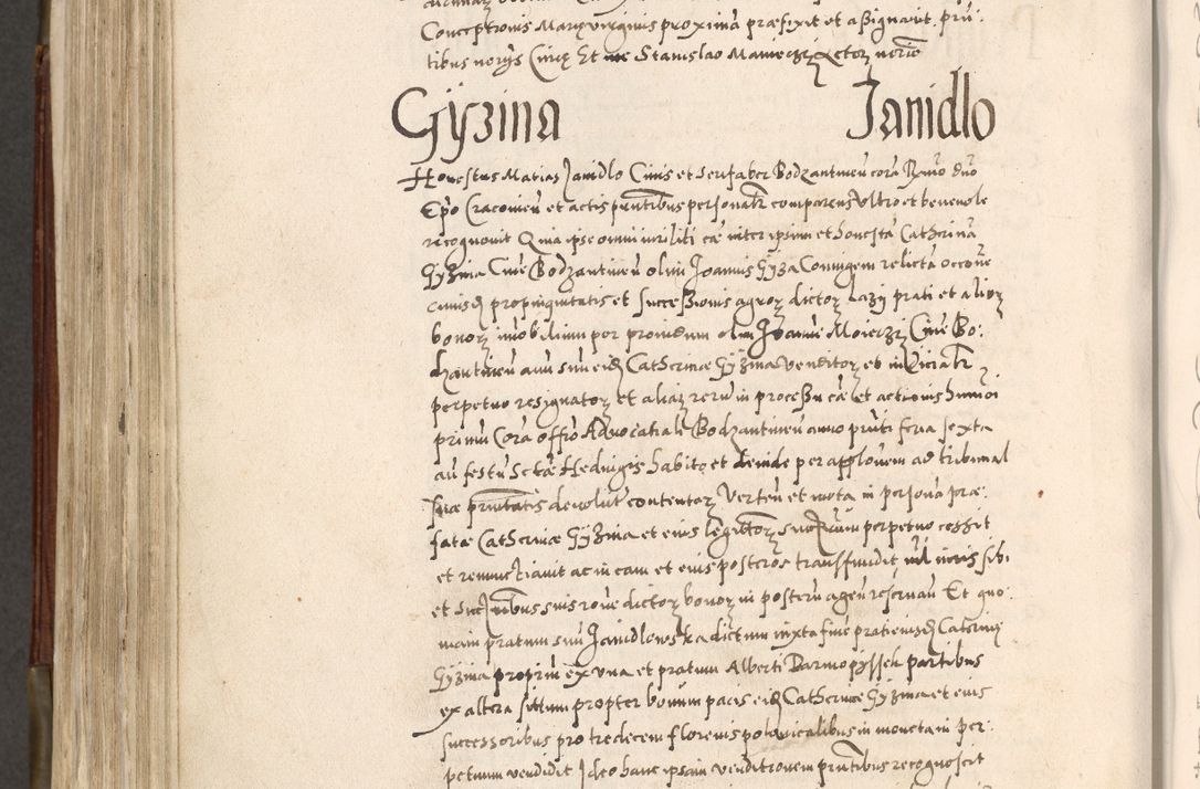 Zdjęcie nr 609 dla obiektu archiwalnego: Acta actorum, constitutionum, obligationum, resignationum, quietationum tempore R. D. Petr Myszkowski, episcopi Cracoviensis, qui post mortem R. D. Francisci Krasiński, episcopi Cracoviensis solius Dei optimi maximi benignitate, Serenissimi Stephani regis Poloniase favore et clementia ex Plocensi ad Cracoviensem auctoritate Ssmi Gregorii XIII successit ab anno 1577 mense Novembri ad annum 1591 mensem Aprilem successive acticatorum.