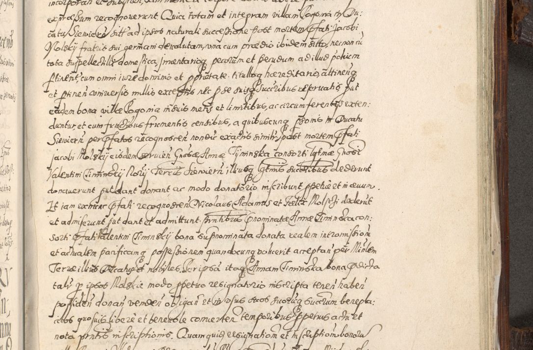 Zdjęcie nr 890 dla obiektu archiwalnego: Acta actorum, constitutionum, obligationum, resignationum, quietationum tempore R. D. Petr Myszkowski, episcopi Cracoviensis, qui post mortem R. D. Francisci Krasiński, episcopi Cracoviensis solius Dei optimi maximi benignitate, Serenissimi Stephani regis Poloniase favore et clementia ex Plocensi ad Cracoviensem auctoritate Ssmi Gregorii XIII successit ab anno 1577 mense Novembri ad annum 1591 mensem Aprilem successive acticatorum.