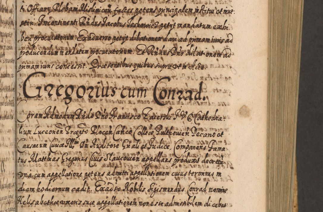 Zdjęcie nr 194 dla obiektu archiwalnego: Acta actorum, causarum spiritualium, civilium, criminalium, obligationum, cessionum, decimarum, testamentorum R. D. Martini Szyszkowski, episcopi Cracoviensis, ducis Severiensis in annis 1617 - 1619. Tomus primus.