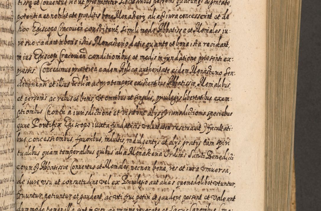 Zdjęcie nr 188 dla obiektu archiwalnego: Acta actorum, causarum spiritualium, civilium, criminalium, obligationum, cessionum, decimarum, testamentorum R. D. Martini Szyszkowski, episcopi Cracoviensis, ducis Severiensis in annis 1617 - 1619. Tomus primus.