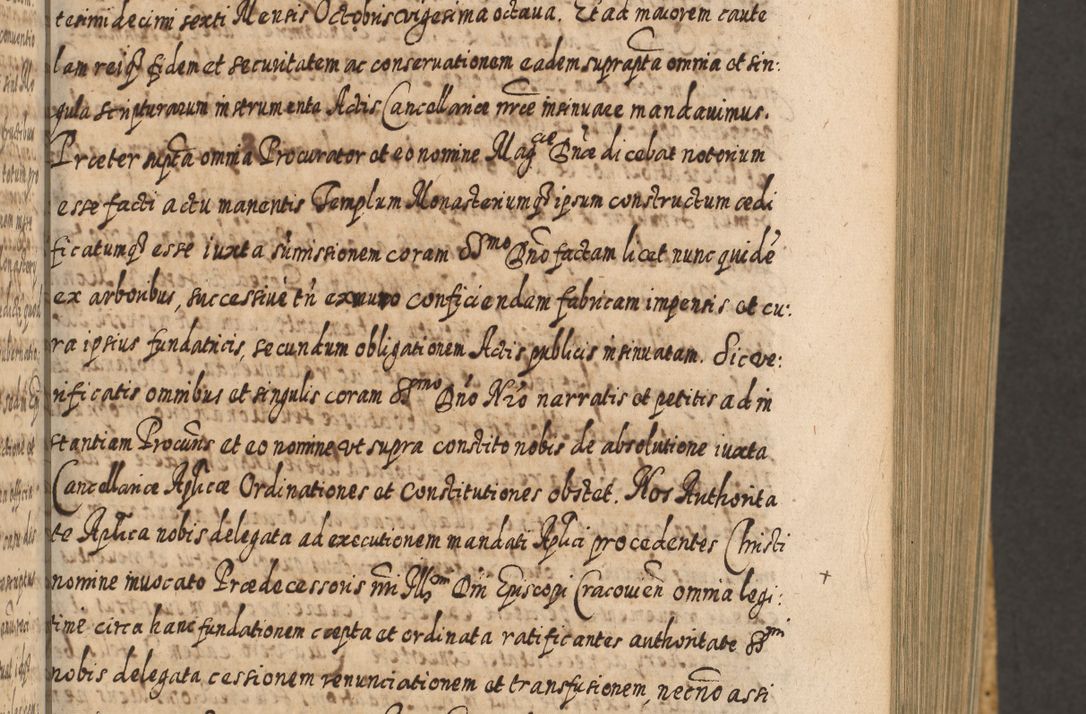 Zdjęcie nr 186 dla obiektu archiwalnego: Acta actorum, causarum spiritualium, civilium, criminalium, obligationum, cessionum, decimarum, testamentorum R. D. Martini Szyszkowski, episcopi Cracoviensis, ducis Severiensis in annis 1617 - 1619. Tomus primus.