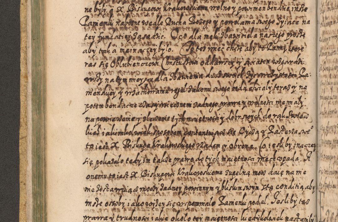 Zdjęcie nr 179 dla obiektu archiwalnego: Acta actorum, causarum spiritualium, civilium, criminalium, obligationum, cessionum, decimarum, testamentorum R. D. Martini Szyszkowski, episcopi Cracoviensis, ducis Severiensis in annis 1617 - 1619. Tomus primus.