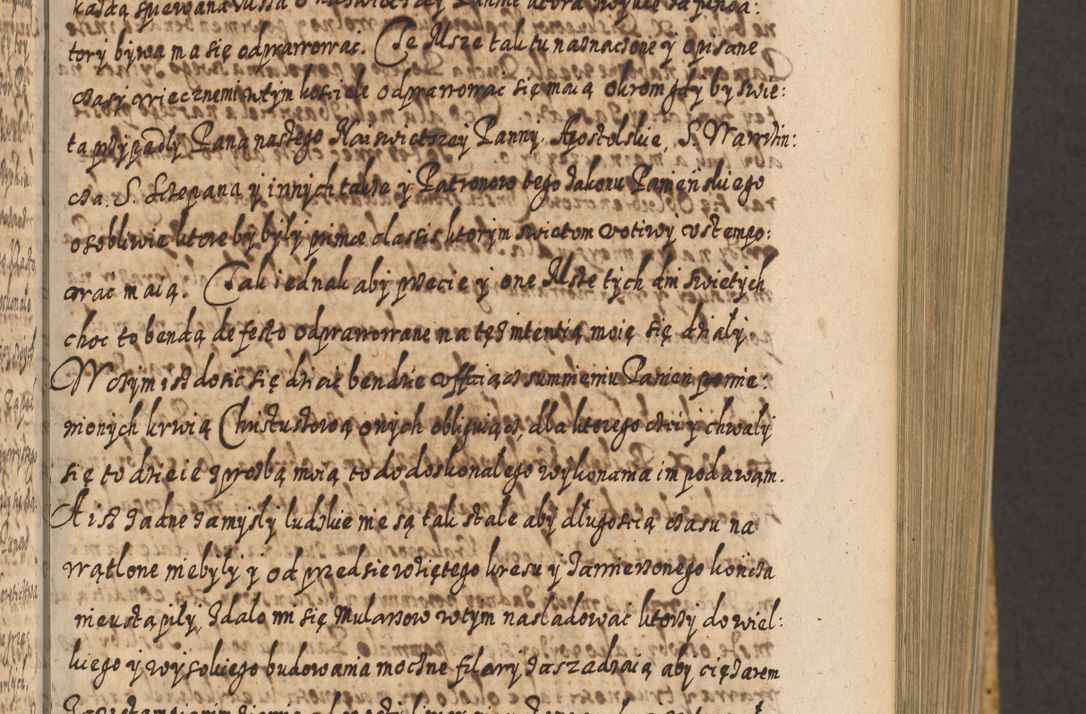 Zdjęcie nr 178 dla obiektu archiwalnego: Acta actorum, causarum spiritualium, civilium, criminalium, obligationum, cessionum, decimarum, testamentorum R. D. Martini Szyszkowski, episcopi Cracoviensis, ducis Severiensis in annis 1617 - 1619. Tomus primus.