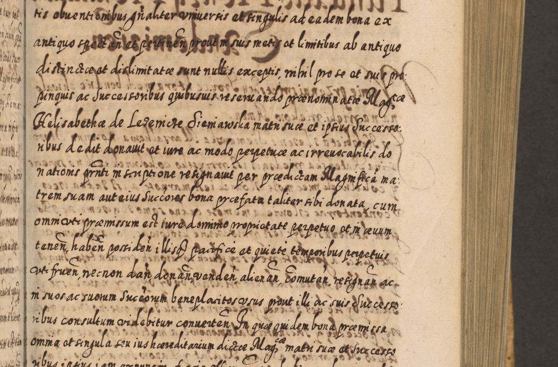 Zdjęcie nr 172 dla obiektu archiwalnego: Acta actorum, causarum spiritualium, civilium, criminalium, obligationum, cessionum, decimarum, testamentorum R. D. Martini Szyszkowski, episcopi Cracoviensis, ducis Severiensis in annis 1617 - 1619. Tomus primus.