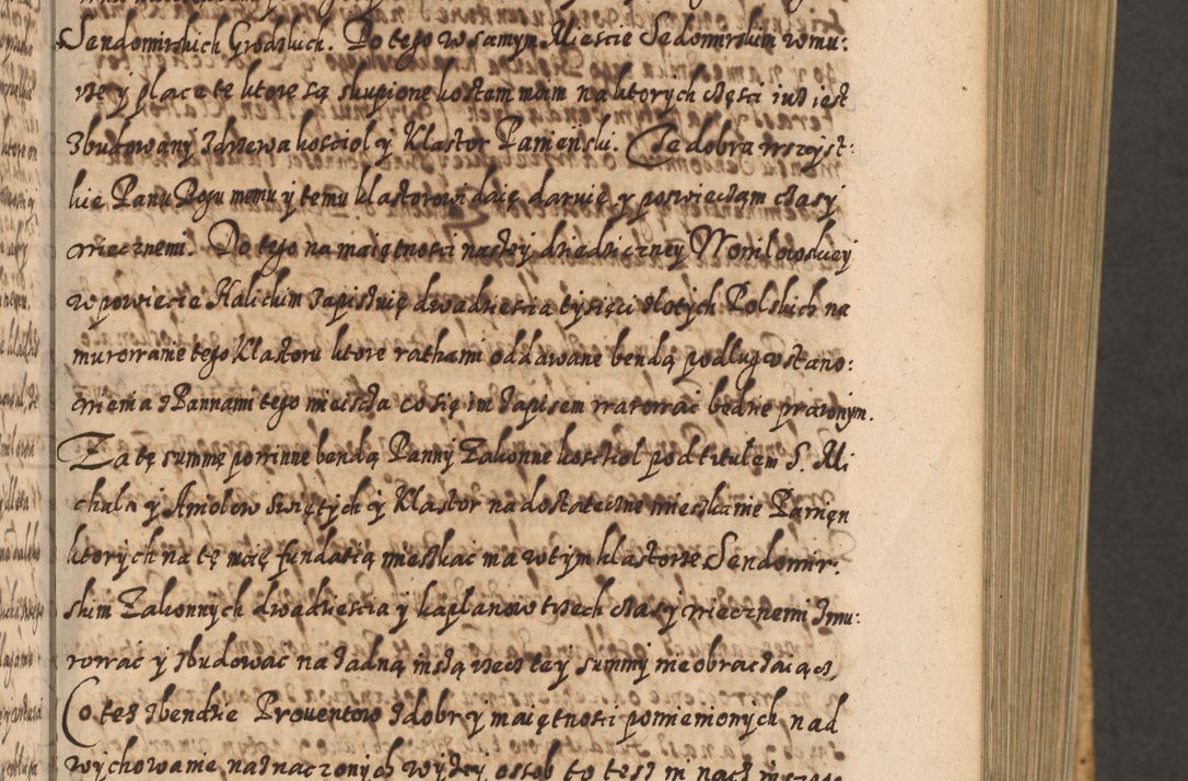 Zdjęcie nr 176 dla obiektu archiwalnego: Acta actorum, causarum spiritualium, civilium, criminalium, obligationum, cessionum, decimarum, testamentorum R. D. Martini Szyszkowski, episcopi Cracoviensis, ducis Severiensis in annis 1617 - 1619. Tomus primus.