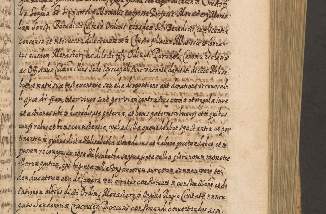 Zdjęcie nr 164 dla obiektu archiwalnego: Acta actorum, causarum spiritualium, civilium, criminalium, obligationum, cessionum, decimarum, testamentorum R. D. Martini Szyszkowski, episcopi Cracoviensis, ducis Severiensis in annis 1617 - 1619. Tomus primus.