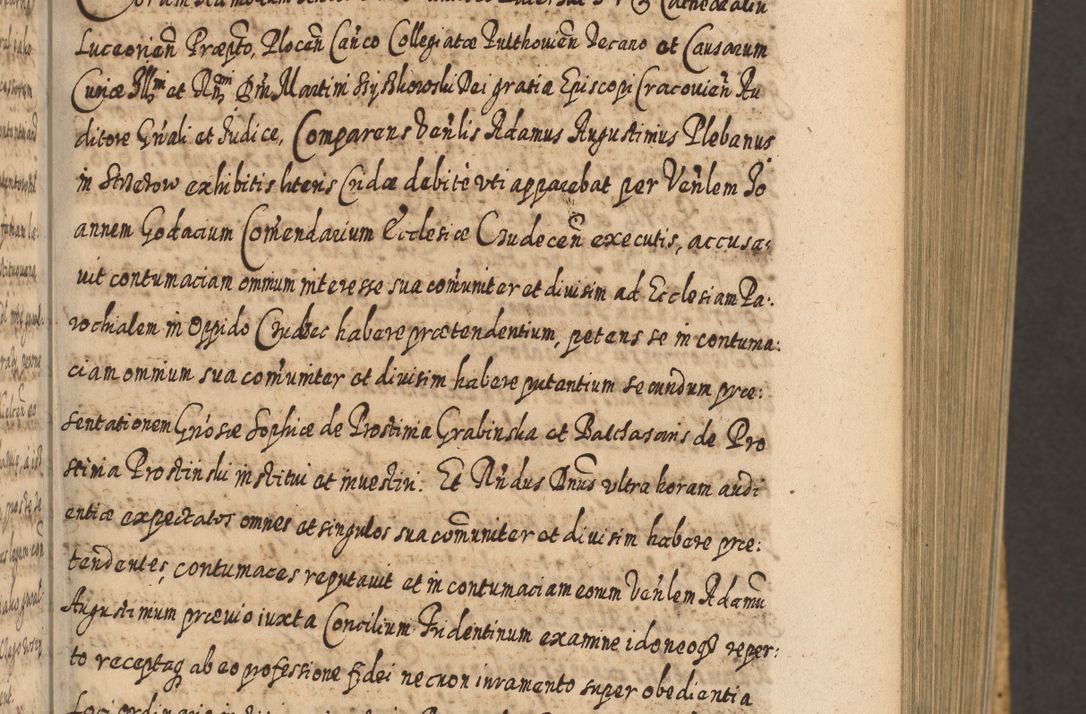 Zdjęcie nr 142 dla obiektu archiwalnego: Acta actorum, causarum spiritualium, civilium, criminalium, obligationum, cessionum, decimarum, testamentorum R. D. Martini Szyszkowski, episcopi Cracoviensis, ducis Severiensis in annis 1617 - 1619. Tomus primus.
