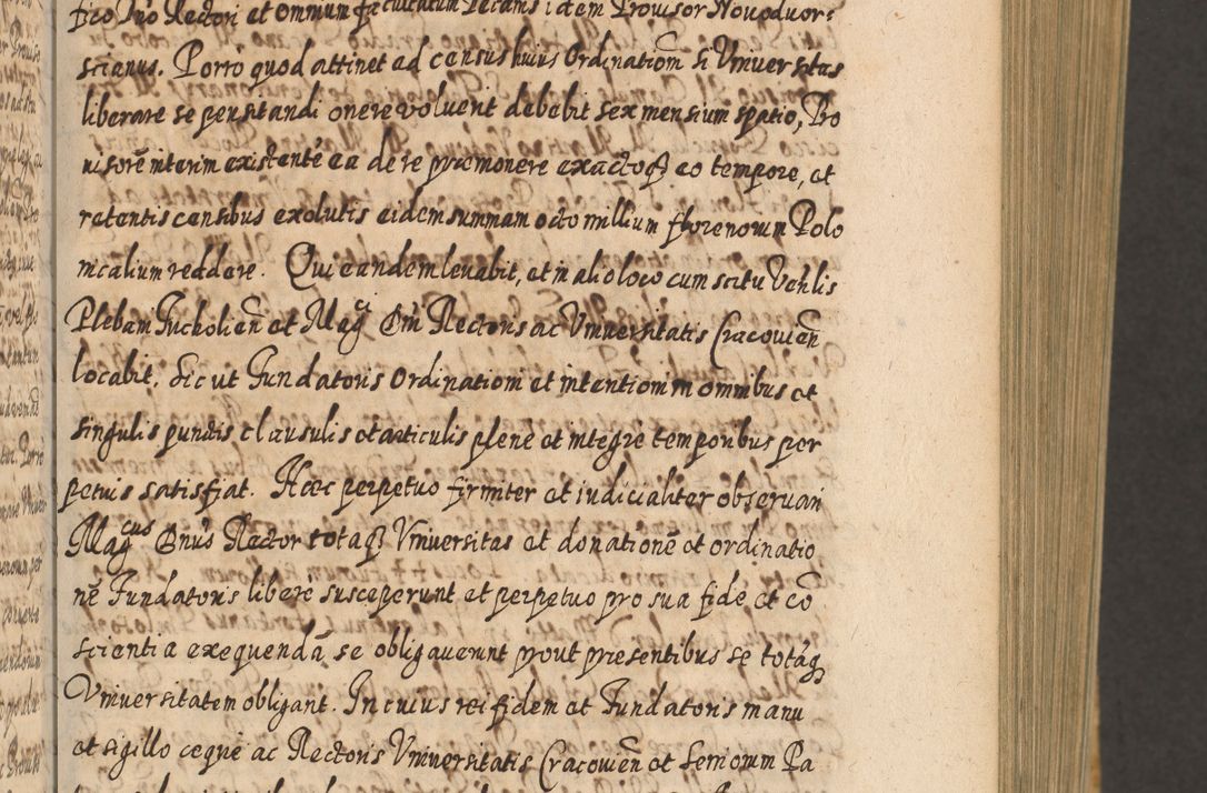 Zdjęcie nr 116 dla obiektu archiwalnego: Acta actorum, causarum spiritualium, civilium, criminalium, obligationum, cessionum, decimarum, testamentorum R. D. Martini Szyszkowski, episcopi Cracoviensis, ducis Severiensis in annis 1617 - 1619. Tomus primus.