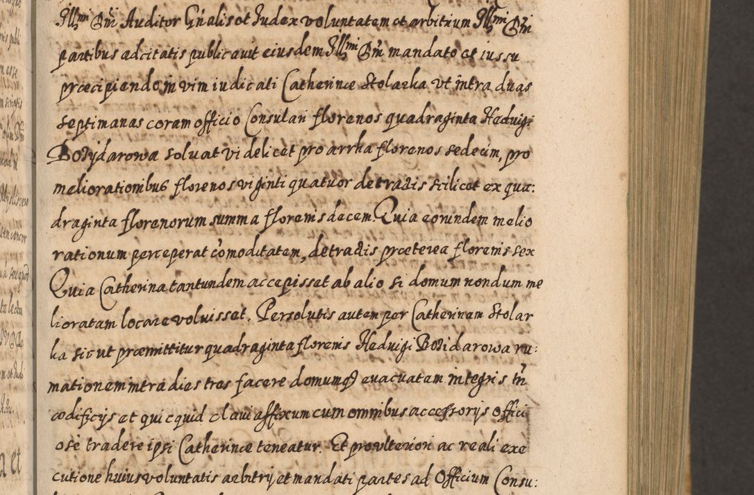 Zdjęcie nr 100 dla obiektu archiwalnego: Acta actorum, causarum spiritualium, civilium, criminalium, obligationum, cessionum, decimarum, testamentorum R. D. Martini Szyszkowski, episcopi Cracoviensis, ducis Severiensis in annis 1617 - 1619. Tomus primus.