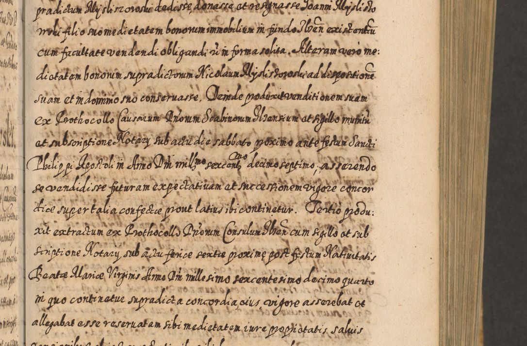 Zdjęcie nr 96 dla obiektu archiwalnego: Acta actorum, causarum spiritualium, civilium, criminalium, obligationum, cessionum, decimarum, testamentorum R. D. Martini Szyszkowski, episcopi Cracoviensis, ducis Severiensis in annis 1617 - 1619. Tomus primus.