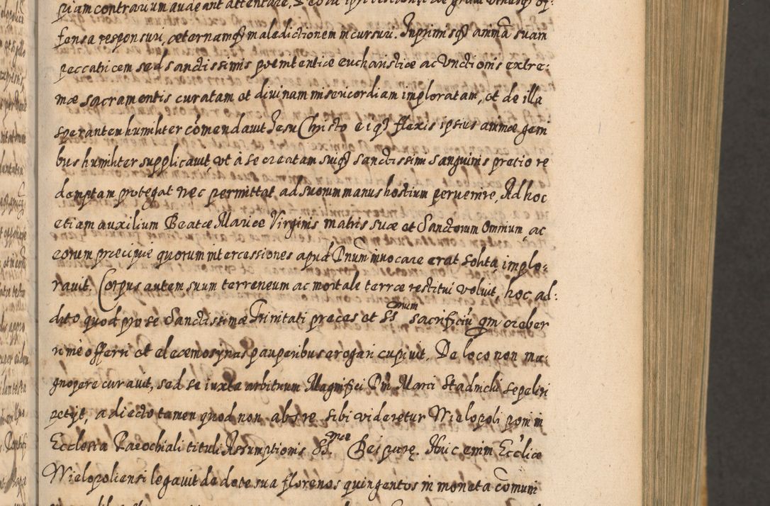 Zdjęcie nr 92 dla obiektu archiwalnego: Acta actorum, causarum spiritualium, civilium, criminalium, obligationum, cessionum, decimarum, testamentorum R. D. Martini Szyszkowski, episcopi Cracoviensis, ducis Severiensis in annis 1617 - 1619. Tomus primus.
