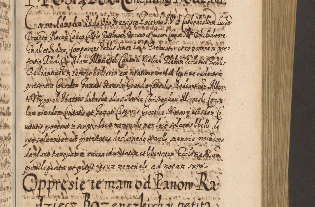 Zdjęcie nr 68 dla obiektu archiwalnego: Acta actorum, causarum spiritualium, civilium, criminalium, obligationum, cessionum, decimarum, testamentorum R. D. Martini Szyszkowski, episcopi Cracoviensis, ducis Severiensis in annis 1617 - 1619. Tomus primus.