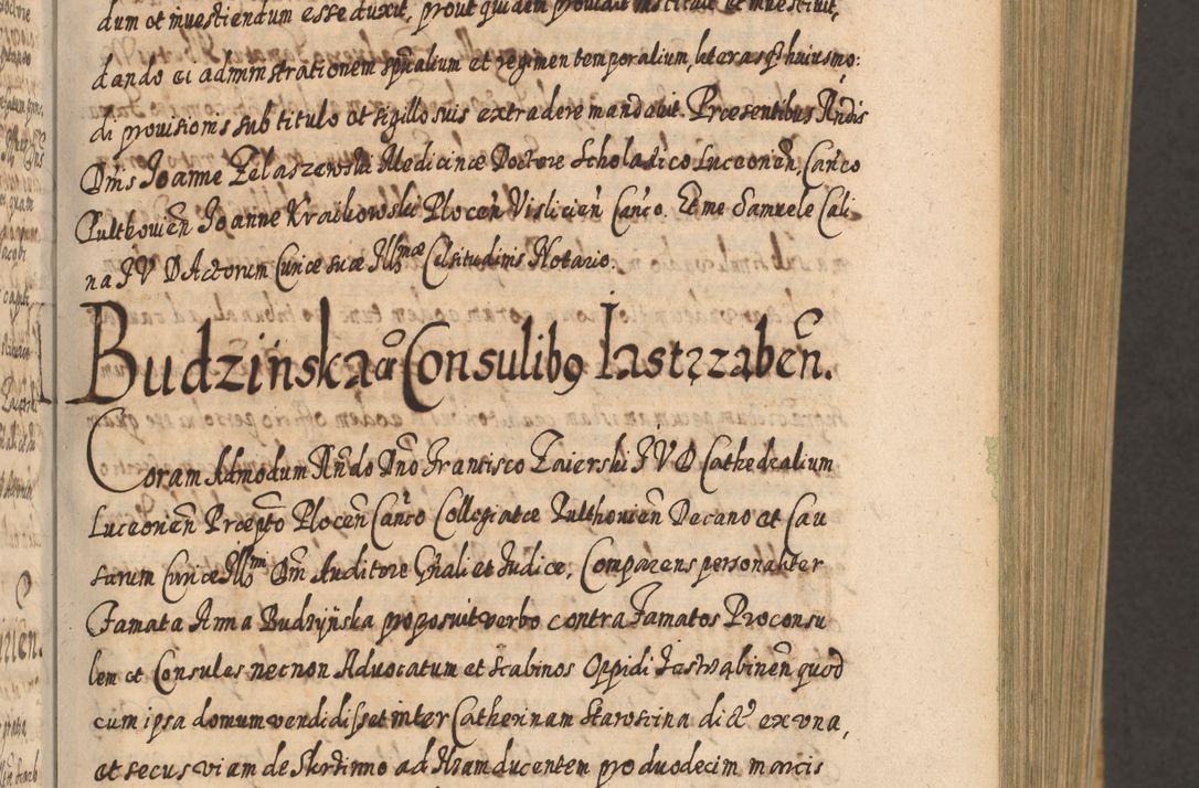 Zdjęcie nr 28 dla obiektu archiwalnego: Acta actorum, causarum spiritualium, civilium, criminalium, obligationum, cessionum, decimarum, testamentorum R. D. Martini Szyszkowski, episcopi Cracoviensis, ducis Severiensis in annis 1617 - 1619. Tomus primus.