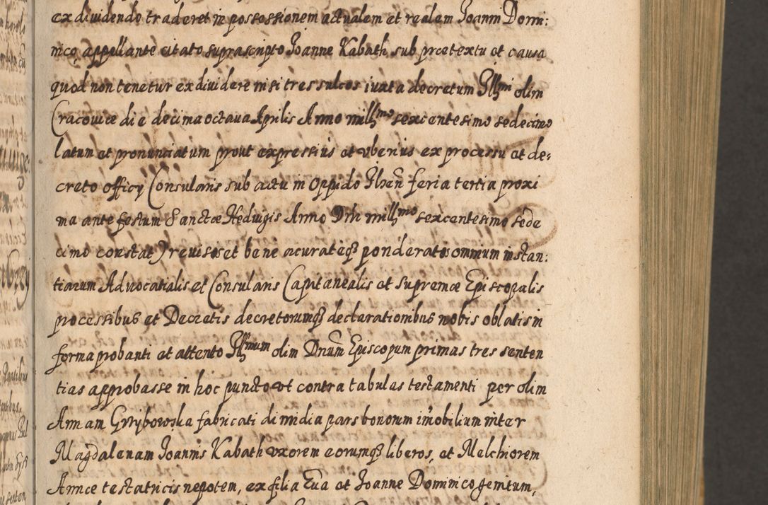 Zdjęcie nr 20 dla obiektu archiwalnego: Acta actorum, causarum spiritualium, civilium, criminalium, obligationum, cessionum, decimarum, testamentorum R. D. Martini Szyszkowski, episcopi Cracoviensis, ducis Severiensis in annis 1617 - 1619. Tomus primus.