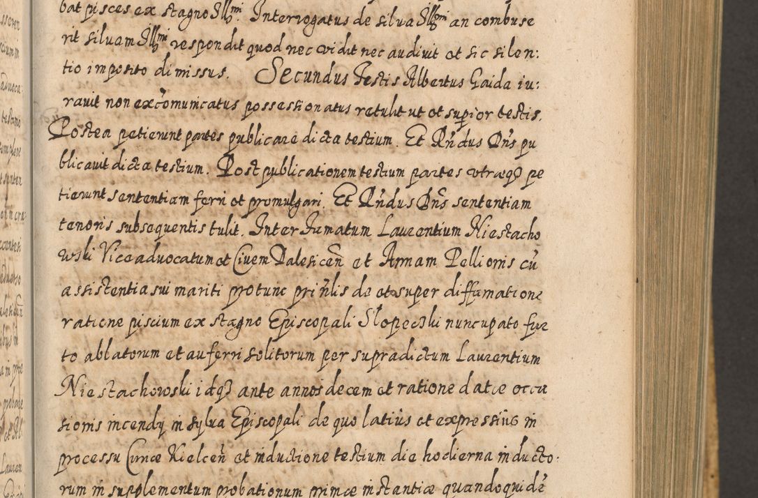 Zdjęcie nr 384 dla obiektu archiwalnego: Acta actorum, causarum spiritualium, civilium, criminalium, obligationum, cessionum, decimarum, testamentorum R. D. Martini Szyszkowski, episcopi Cracoviensis, ducis Severiensis in annis 1617 - 1619. Tomus primus.