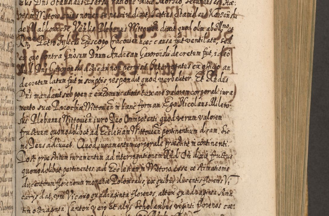 Zdjęcie nr 356 dla obiektu archiwalnego: Acta actorum, causarum spiritualium, civilium, criminalium, obligationum, cessionum, decimarum, testamentorum R. D. Martini Szyszkowski, episcopi Cracoviensis, ducis Severiensis in annis 1617 - 1619. Tomus primus.