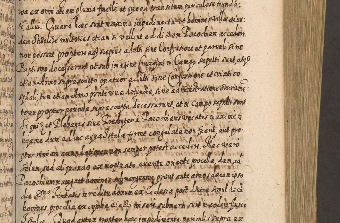 Zdjęcie nr 354 dla obiektu archiwalnego: Acta actorum, causarum spiritualium, civilium, criminalium, obligationum, cessionum, decimarum, testamentorum R. D. Martini Szyszkowski, episcopi Cracoviensis, ducis Severiensis in annis 1617 - 1619. Tomus primus.