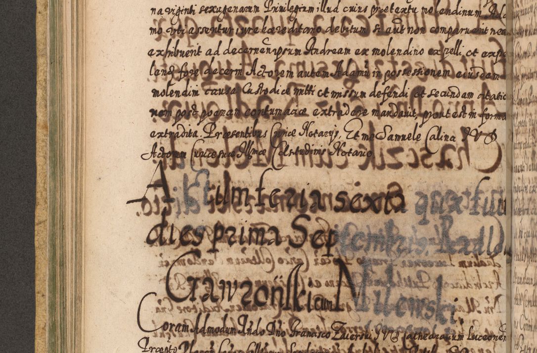 Zdjęcie nr 351 dla obiektu archiwalnego: Acta actorum, causarum spiritualium, civilium, criminalium, obligationum, cessionum, decimarum, testamentorum R. D. Martini Szyszkowski, episcopi Cracoviensis, ducis Severiensis in annis 1617 - 1619. Tomus primus.