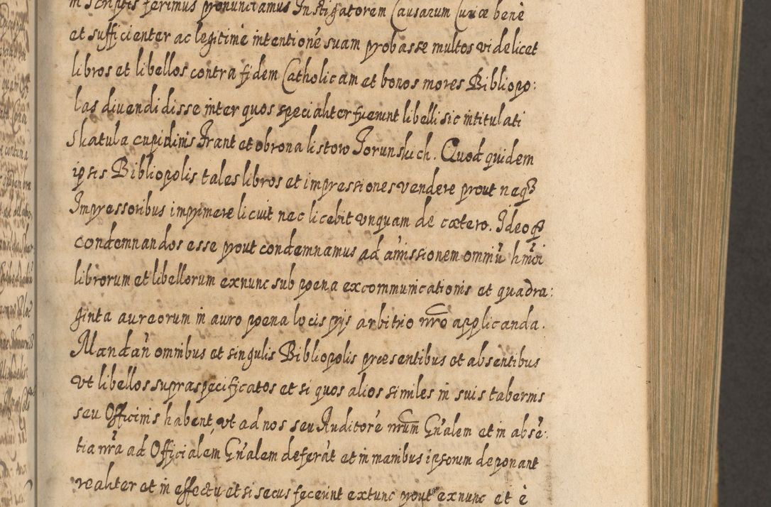 Zdjęcie nr 348 dla obiektu archiwalnego: Acta actorum, causarum spiritualium, civilium, criminalium, obligationum, cessionum, decimarum, testamentorum R. D. Martini Szyszkowski, episcopi Cracoviensis, ducis Severiensis in annis 1617 - 1619. Tomus primus.