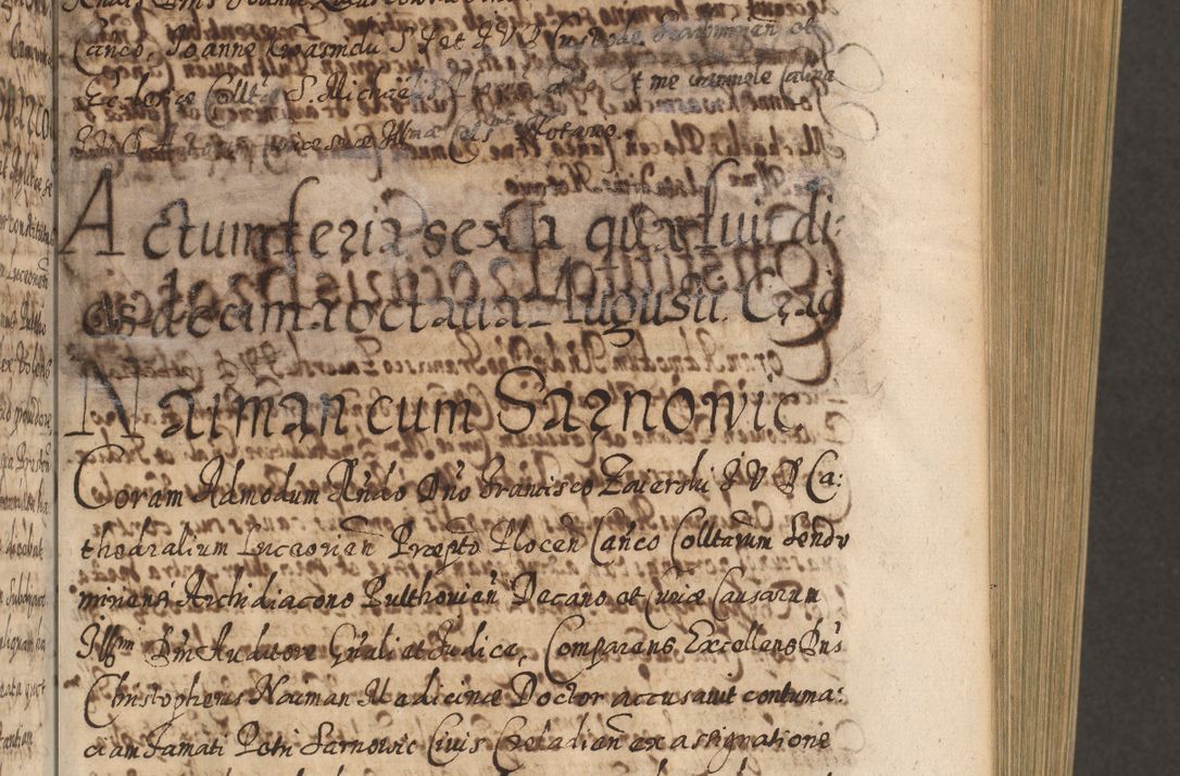 Zdjęcie nr 338 dla obiektu archiwalnego: Acta actorum, causarum spiritualium, civilium, criminalium, obligationum, cessionum, decimarum, testamentorum R. D. Martini Szyszkowski, episcopi Cracoviensis, ducis Severiensis in annis 1617 - 1619. Tomus primus.